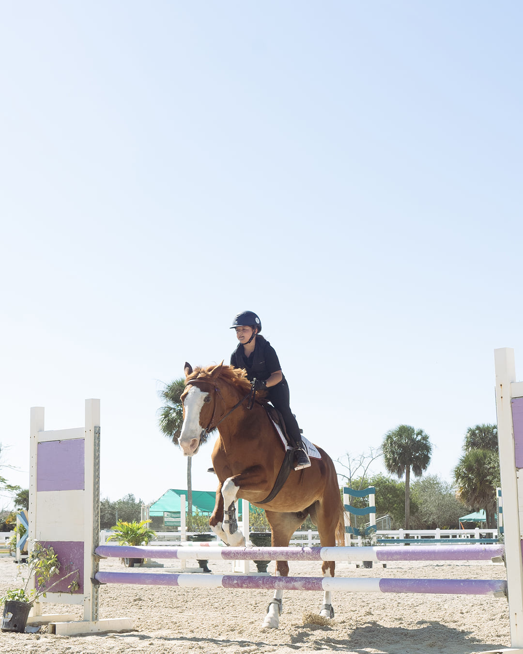 Orchid Stables Lessons-10
