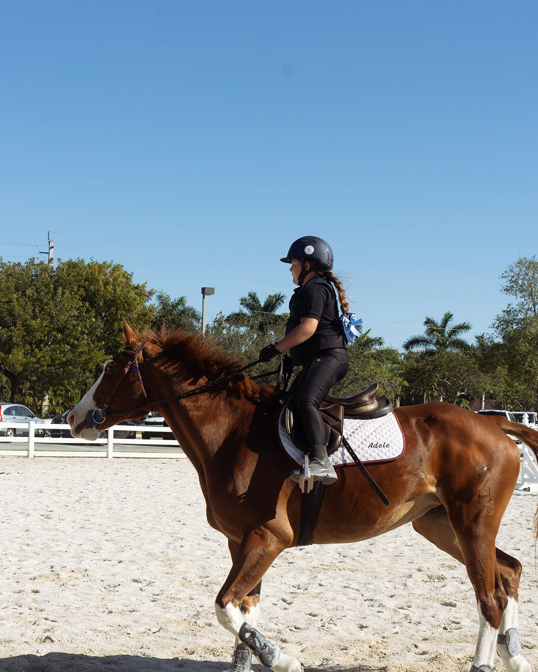 Orchid Stables Lessons-15