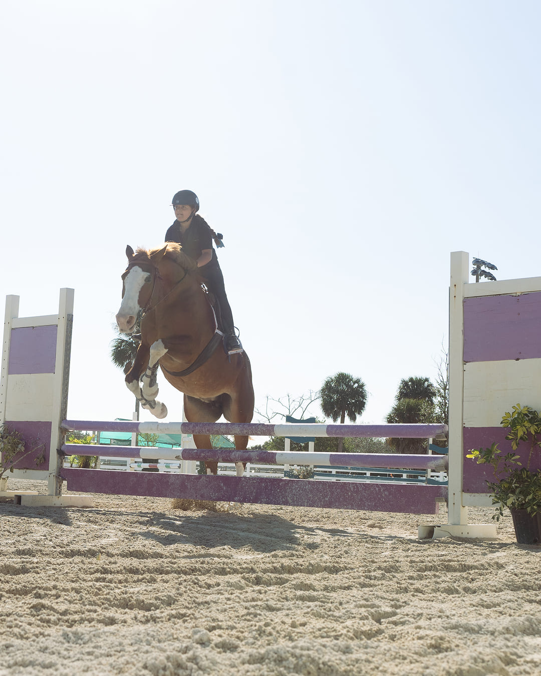 Orchid Stables Lessons-18