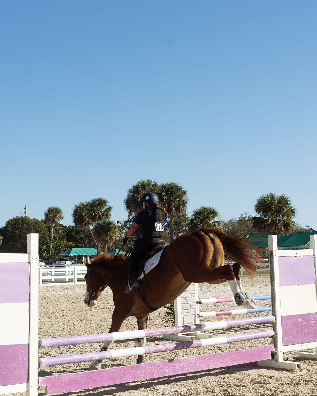 Orchid Stables Lessons-19
