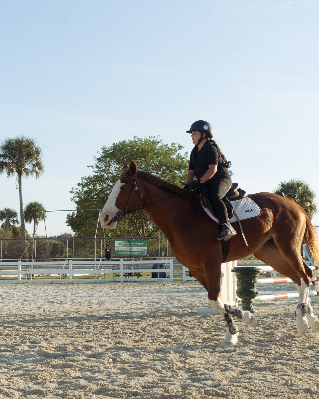Orchid Stables Lessons-20