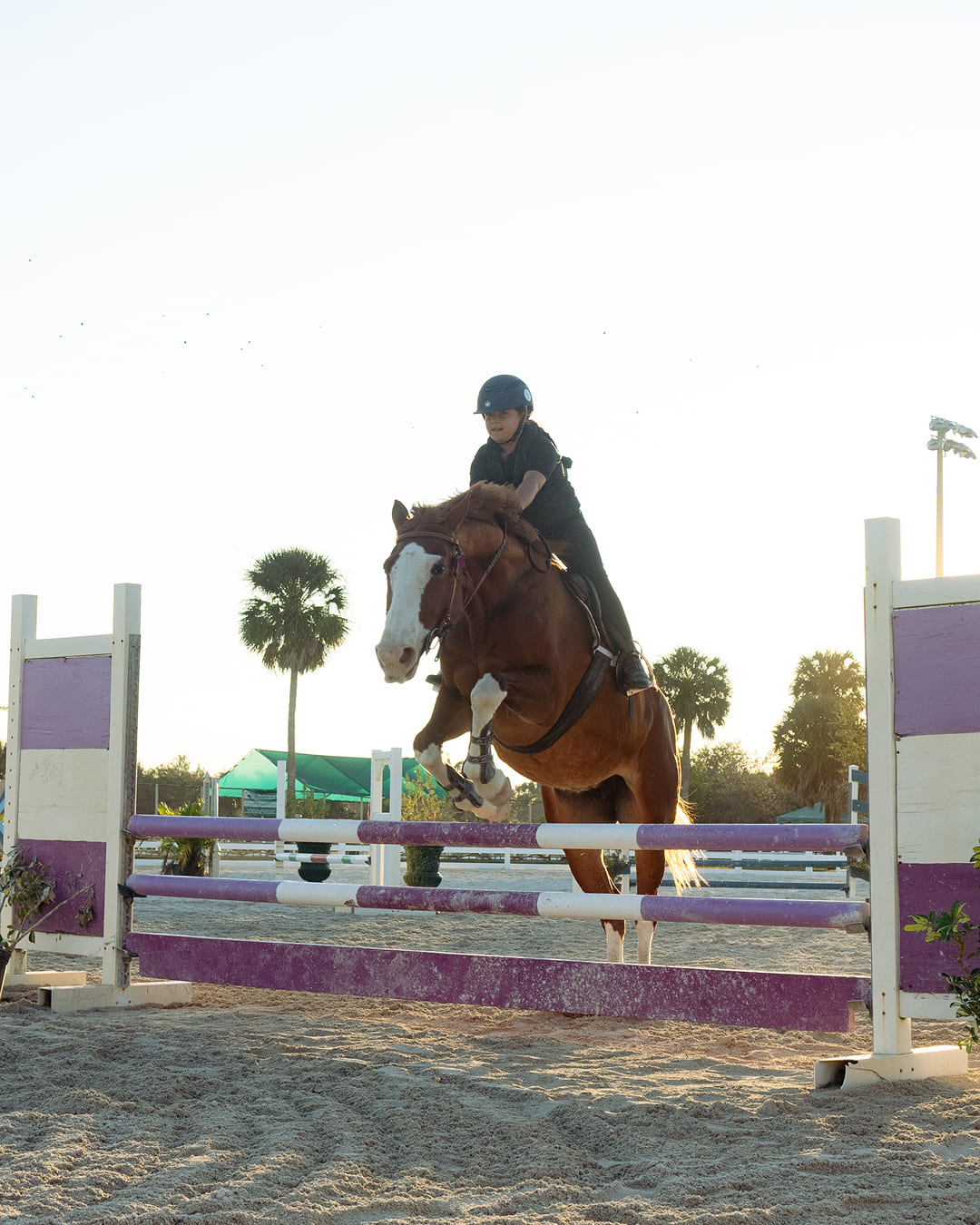 Orchid Stables Lessons-22