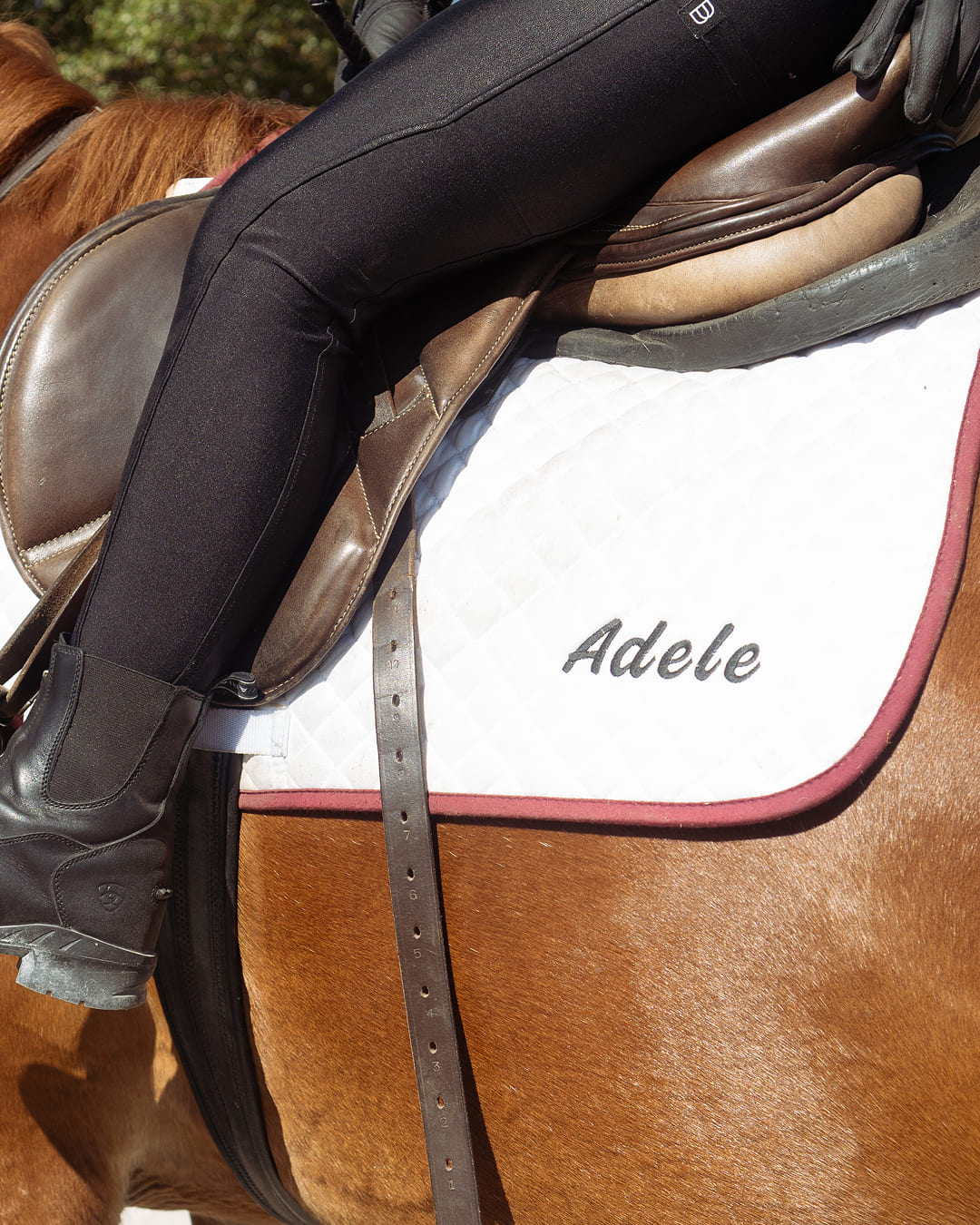 Orchid Stables Lessons